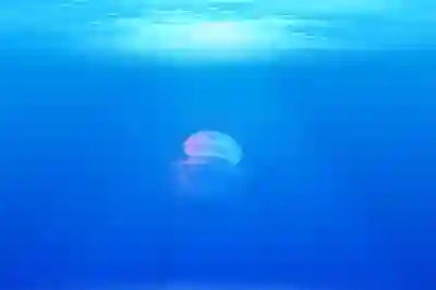 갤럭시 배터리 수명 늘리기 위한 꿀팁 알아보자