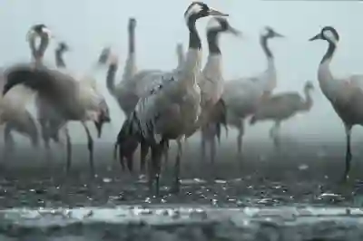 갤럭시 사진 배경 흐리기 꿀팁