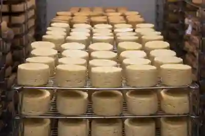 갤럭시 삼성 클라우드 동영상 저장 방법 살펴보기