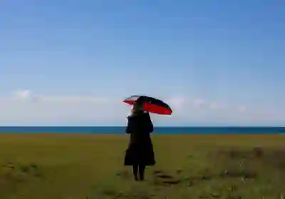 비 오는 날 인천SSG랜더스필드에서 직관하는 꿀팁