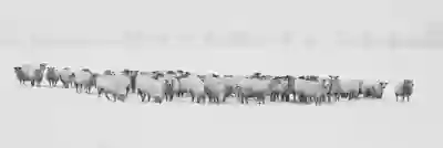 인천SSG랜더스필드 개막전 하이라이트 살펴보기