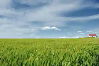 인천SSG랜더스필드 시즌권 혜택 완벽 정리하기