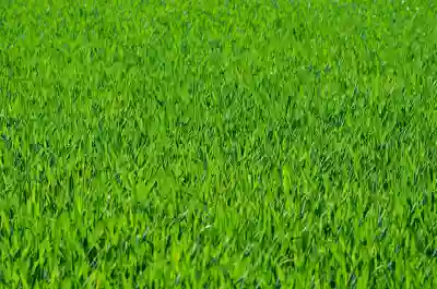 인천SSG랜더스필드 응원단 춤 배우기 꿀팁