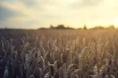 인천SSG랜더스필드 응원석 티켓팅 꿀팁