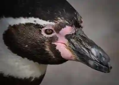 인천SSG랜더스필드 입구별 특징 알아보자