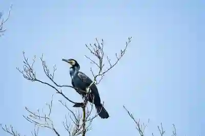 갤럭시로 사진을 PDF로 변환하는 꿀팁