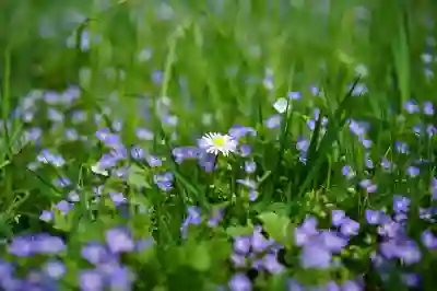 엑셀 파일 안열림 문제 해결을 위한 4가지 방법 알아보자
