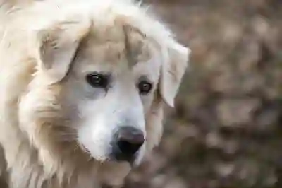 카톡 친구 삭제 복구하는 방법 알아보자