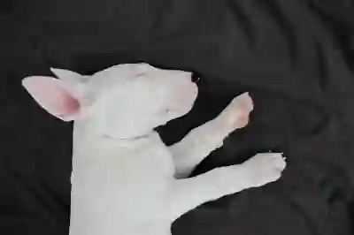 카톡 친구 안뜸 문제 해결을 위한 3가지 방법