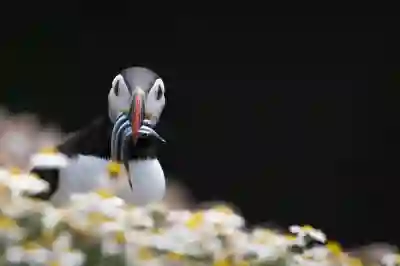 갤럭시 휴대폰 안전모드 해제하는 방법 알아보자