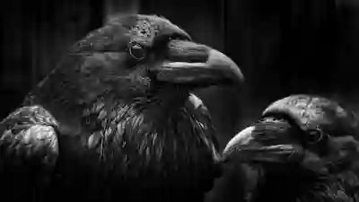 갤럭시 흑백 모드 설정하는 꿀팁 알아보자