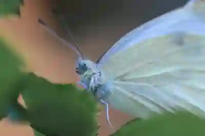 아이클라우드 가격과 가입 방법 알아보자