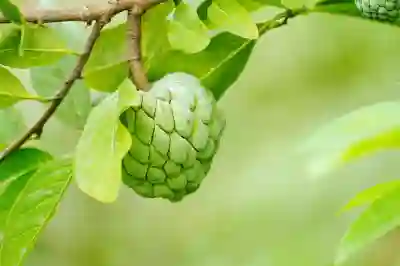 애플 아이디 이메일 변경 꿀팁