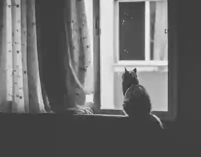 윈도우 11 USB 설치 방법 살펴보자