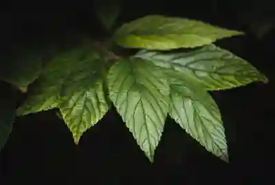 카카오톡 키워드 알림 설정하는 방법 알아보자