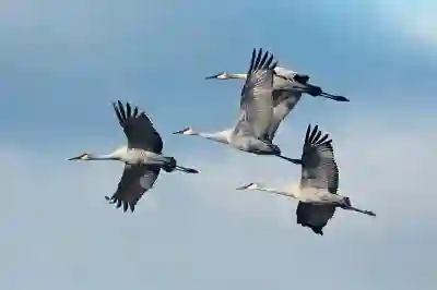 카톡 책갈피 단톡방 활용법 알아보자