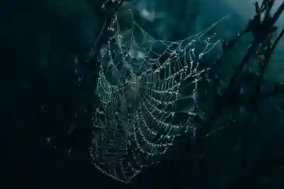 회원가입 사이트 탈퇴하는 방법 알아보자