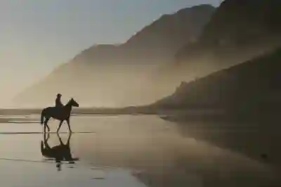 갈색 냉이 발생 원인 알아보자