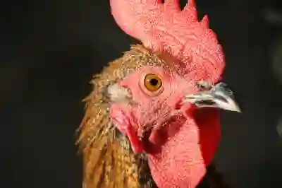 기장군 철마면 대형폐기물 무료 수거 방법 알아보자