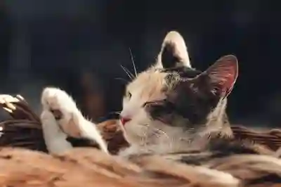 내용증명 수취거부 후 대처법 알아보자