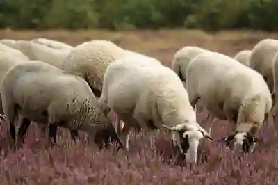알레르기 비염 치료를 위한 항히스타민제 1세대와 2세대 완벽 비교 알아보자