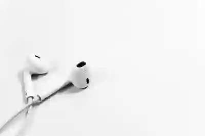 웅진동 동물병원 위치 쉽게 찾는 꿀팁