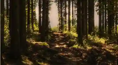 인천 옹진 대청면 분위기 좋은 카페 5곳 알아보자