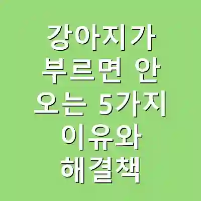 강아지가 부르면 안 오는 5가지 이유와 해결책
