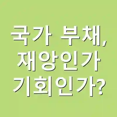 국가 부채, 재앙인가 기회인가?