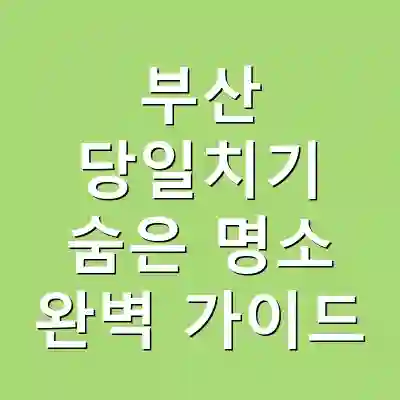 부산 당일치기 숨은 명소 완벽 가이드